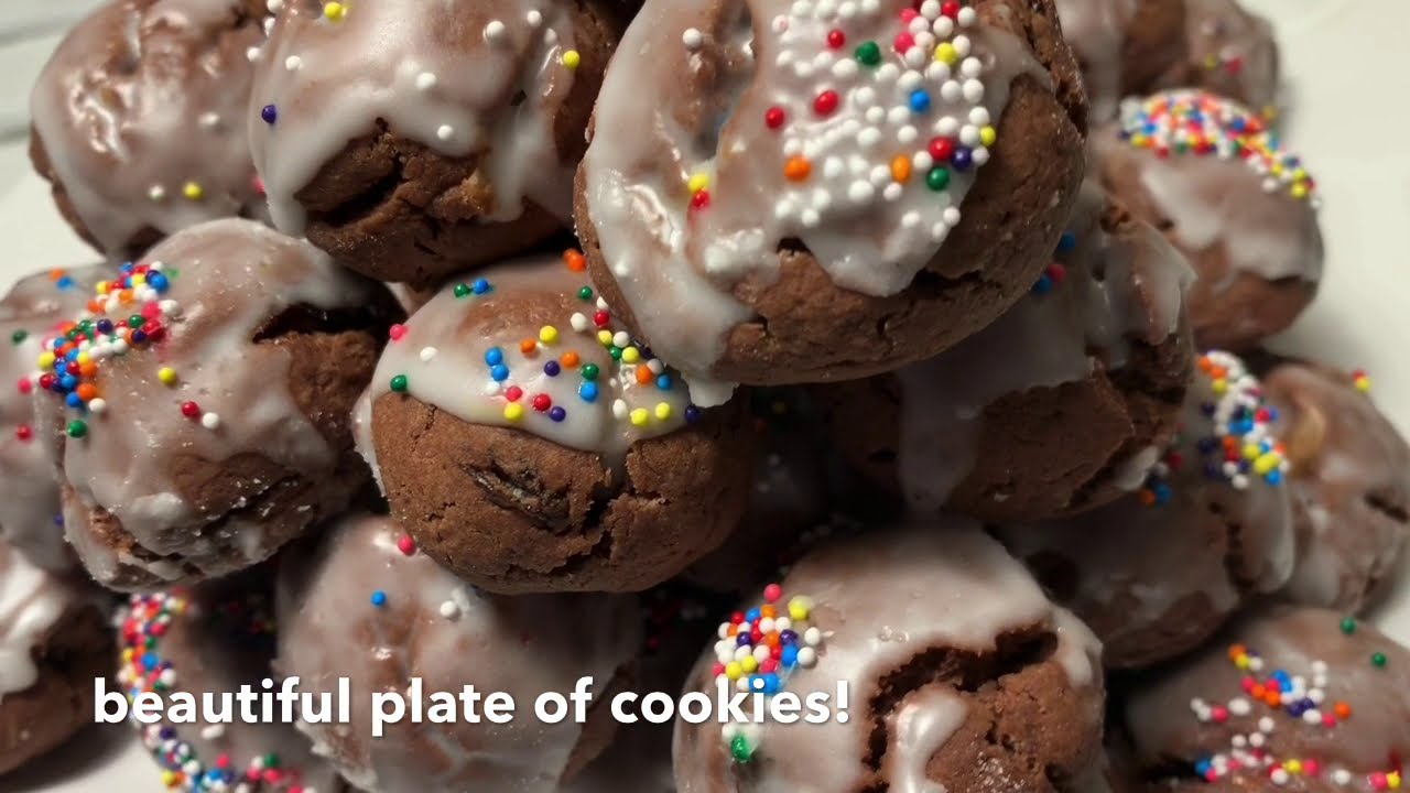 Italian Chocolate Spice Cookies - Santina’s Biscotti Scuri!