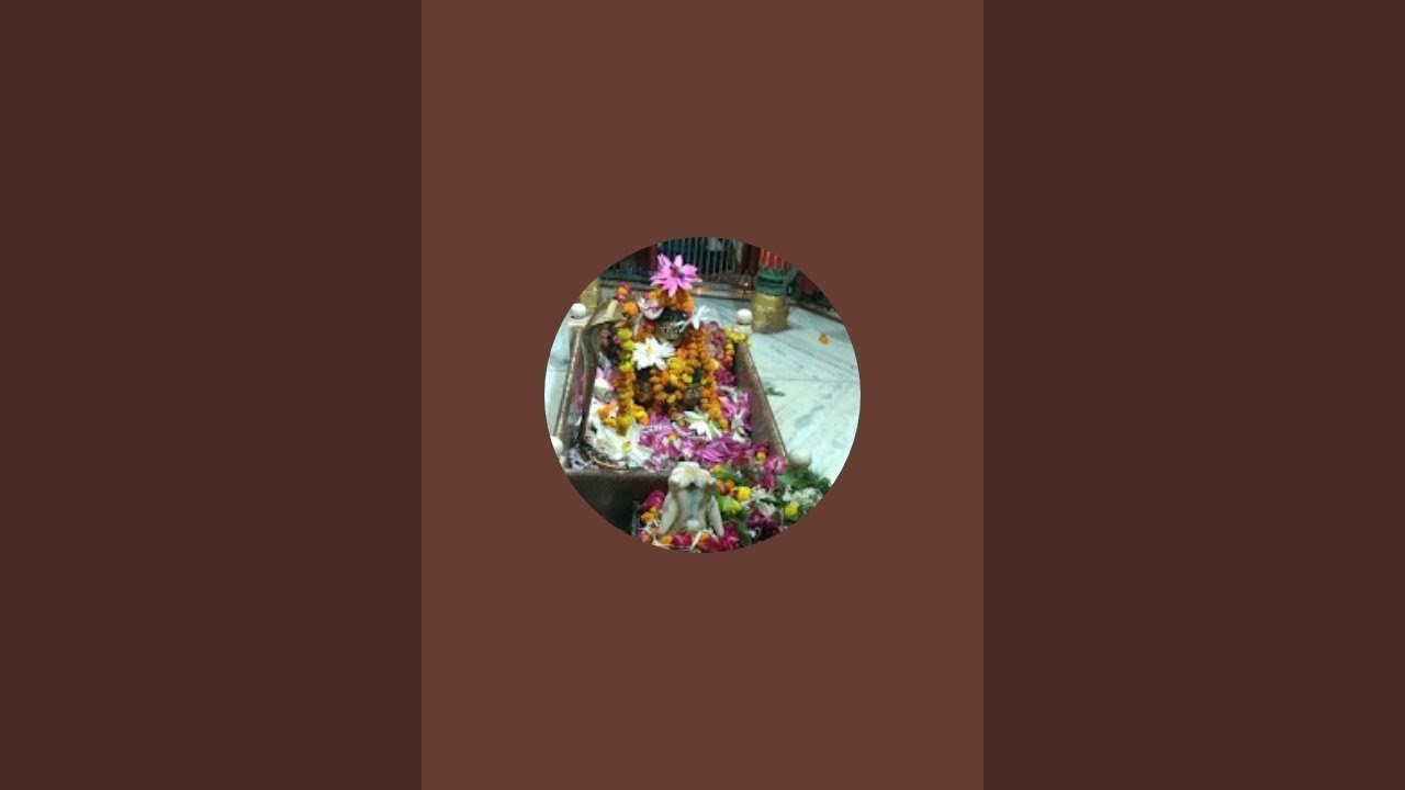Kittu is live!