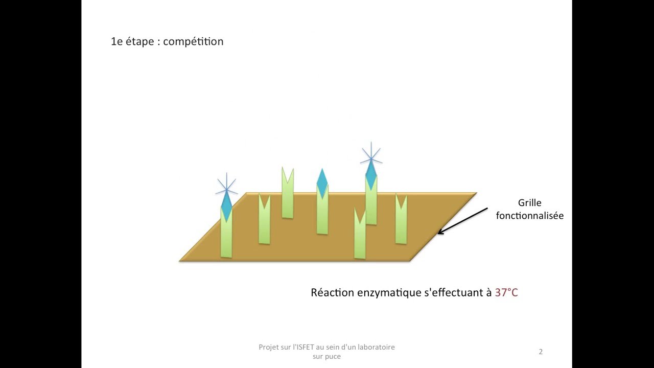ISFET