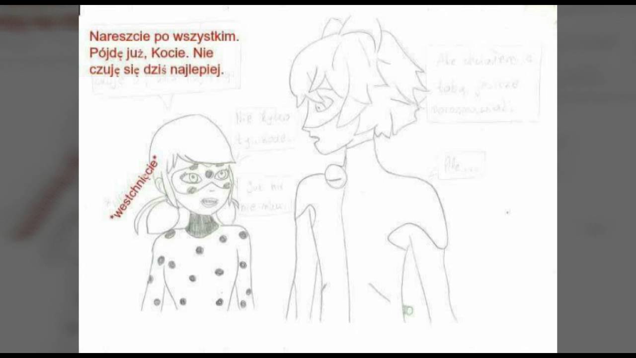 Miraculum Biedronka i Czarny Kot - ,,Prawdziwa Twarz cz. 2