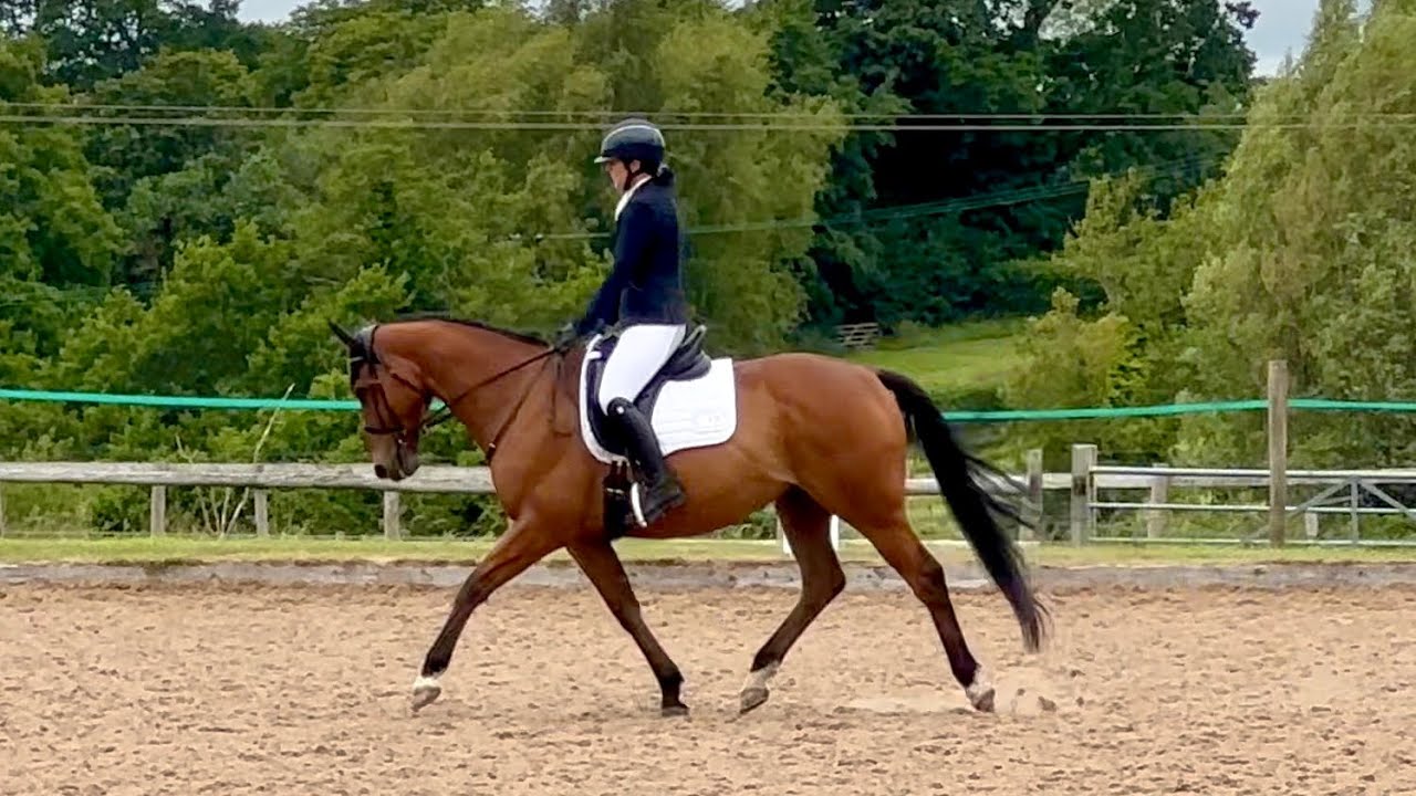 BD - Novice 3 - 66.2% - Burrows Court - 7.6.25