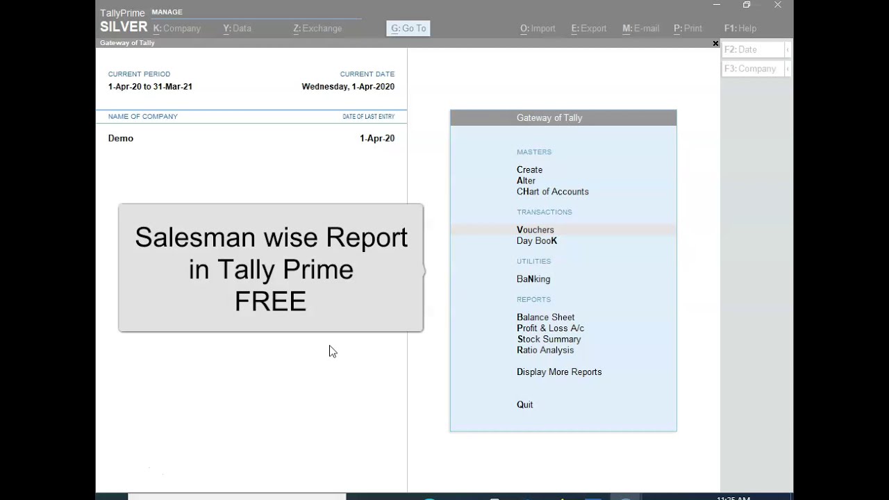 Tally Prime Salesman Wise Report Free. No TDL Required