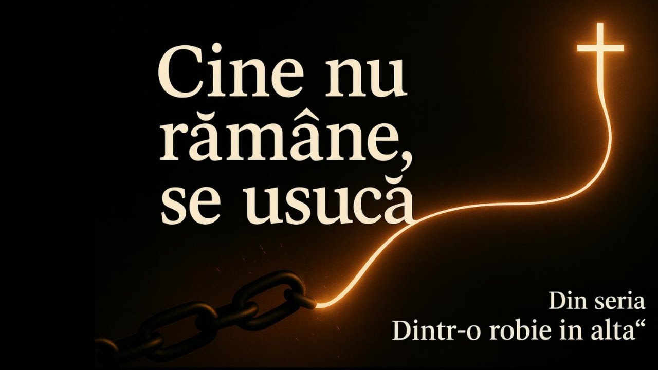 Cine nu ramane, se usuca [ Grace4all ]