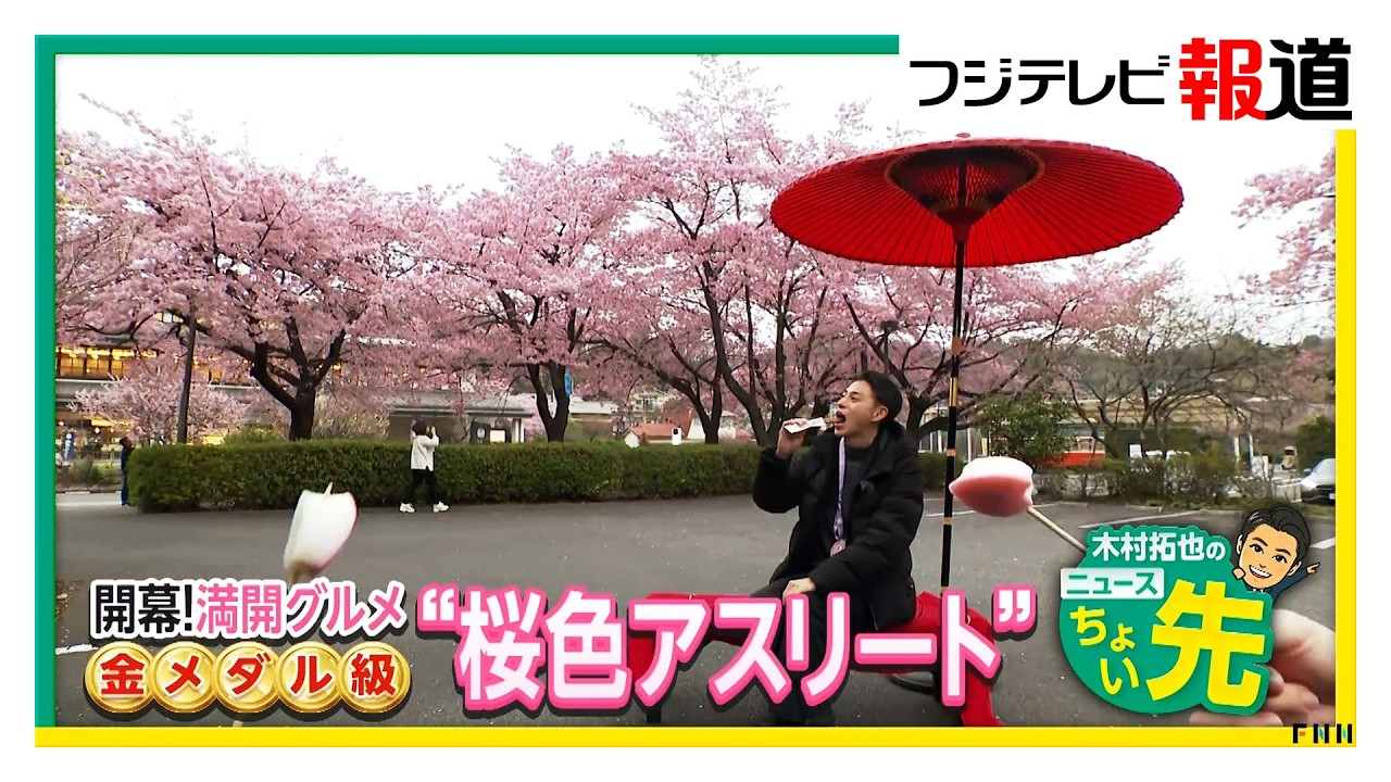 「大漁桜」満開迎えた神奈川・小田原市から“桜グルメ”を紹介　かまぼこ、蕎麦、ちくわにスイーツで桜を楽しみ尽くす（2026年03月03日）