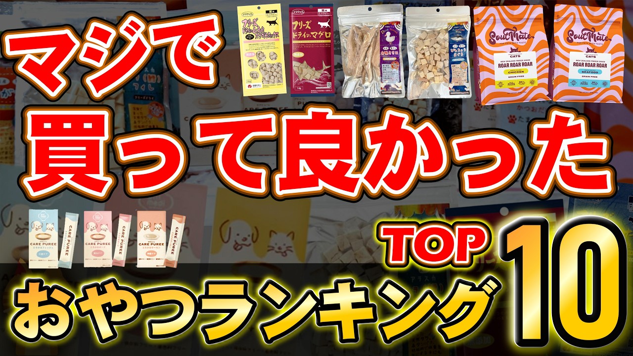 今年本当に買って良かった猫おやつランキングTOP10！