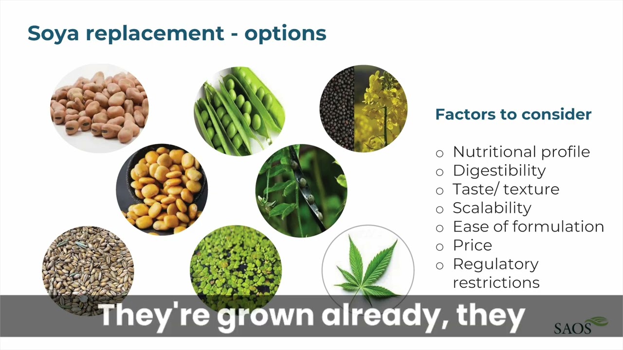 Allene Bruce's presentation - SAOS Conference 2026 (Growing our Farming Future).