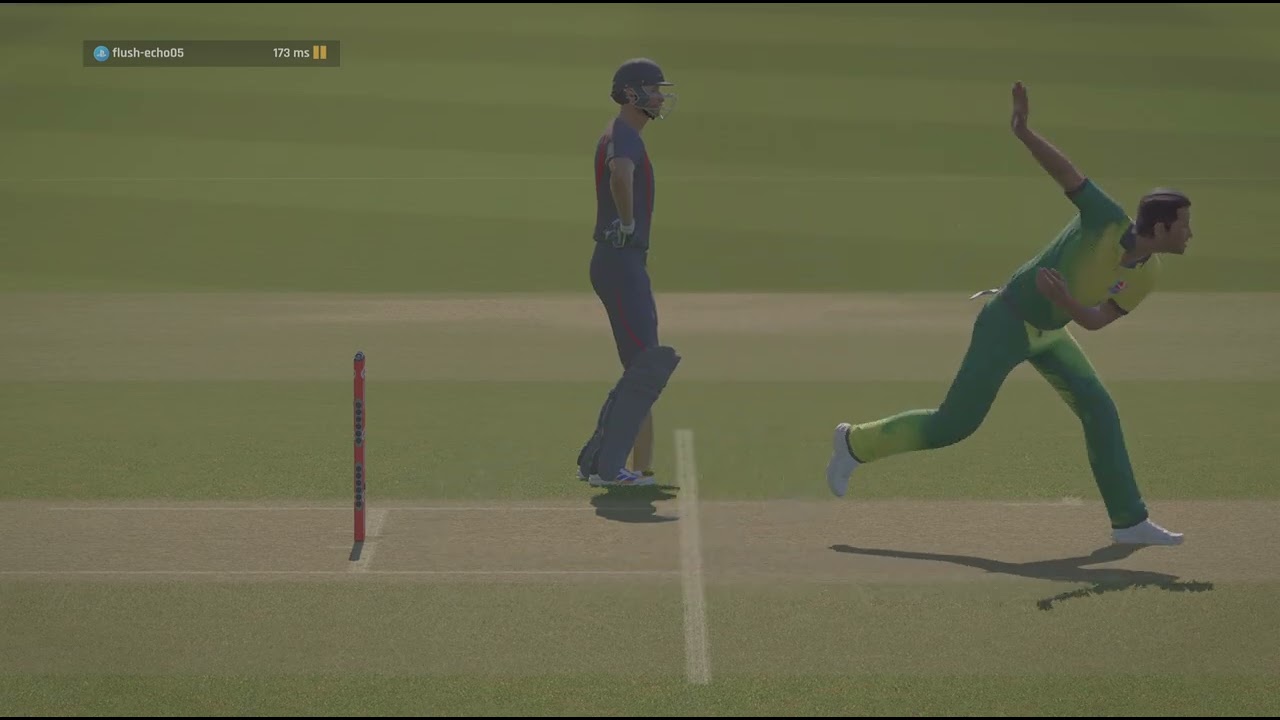A very controversial decission by the umpire