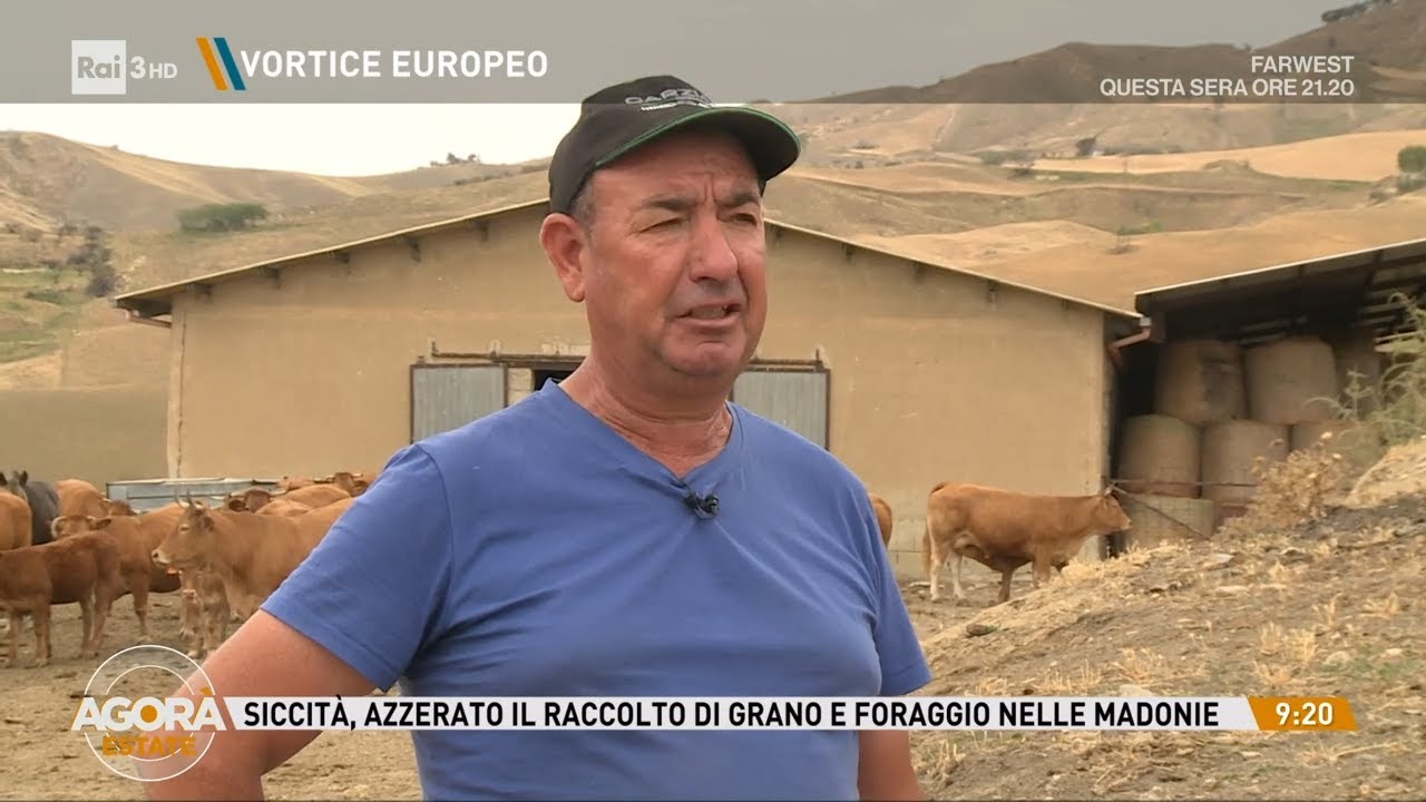 Sicilia, siccita' che uccide - Agorà Estate 17/06/2024