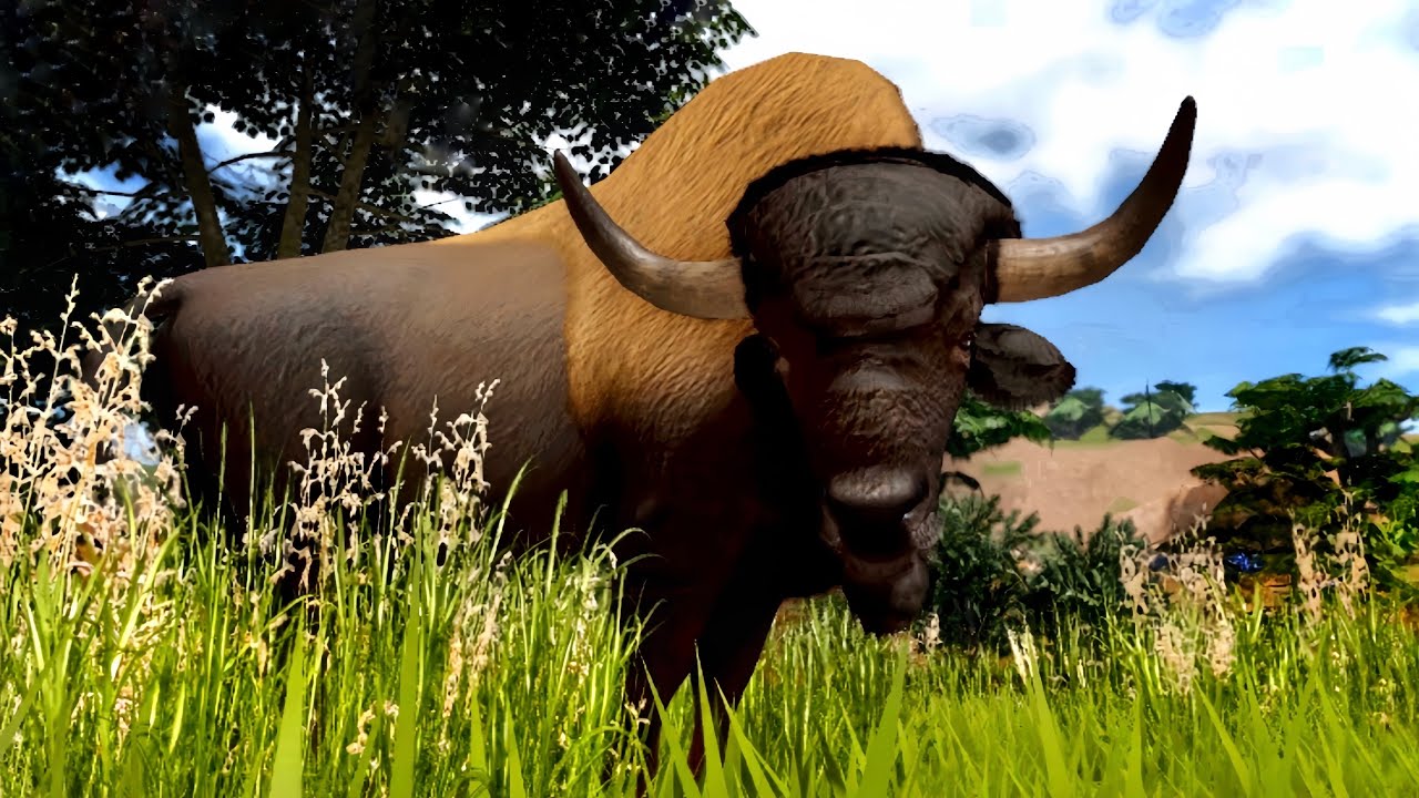a SOLO Bison Experience in Ecos La Brea