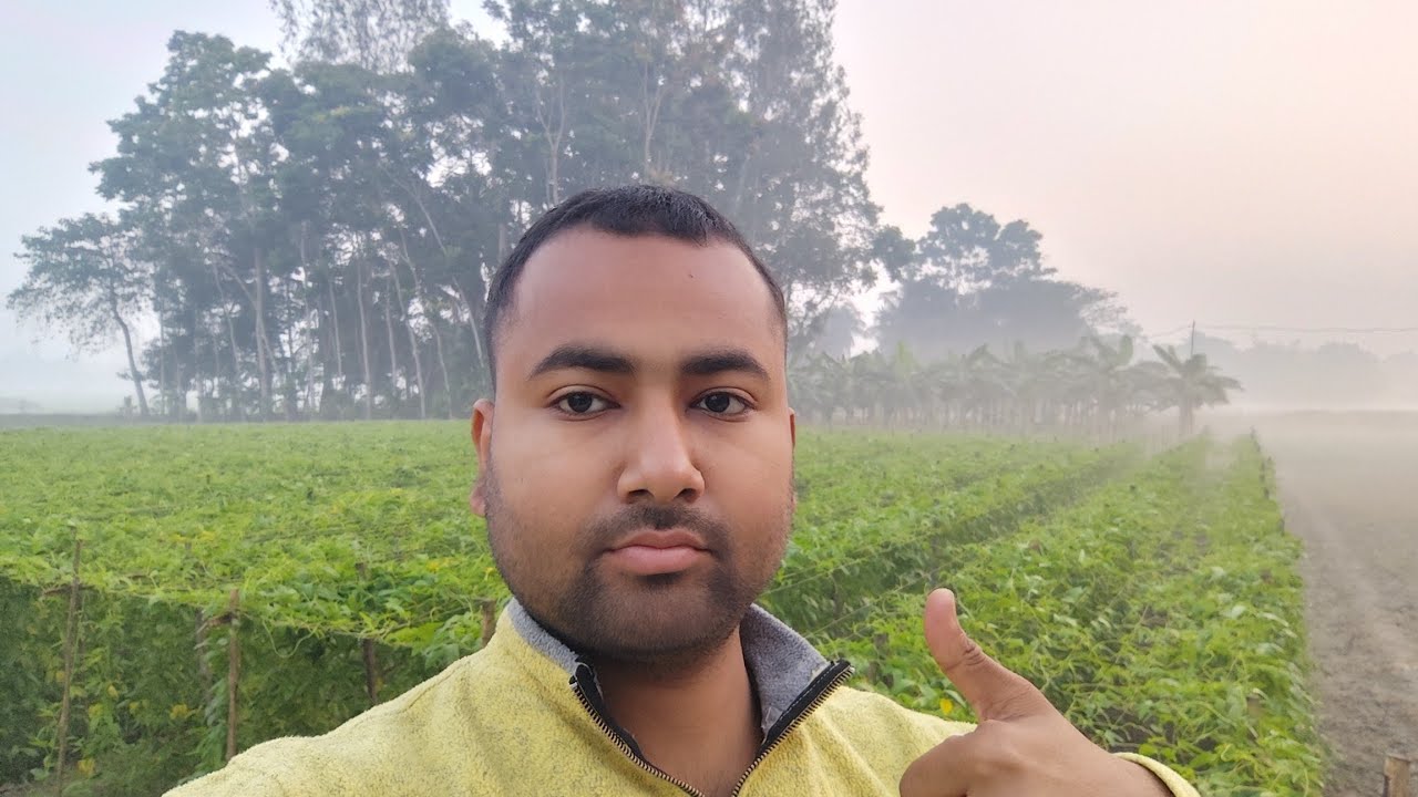 Gao ki hariyali kahi aur dekhne ko nhi milti 