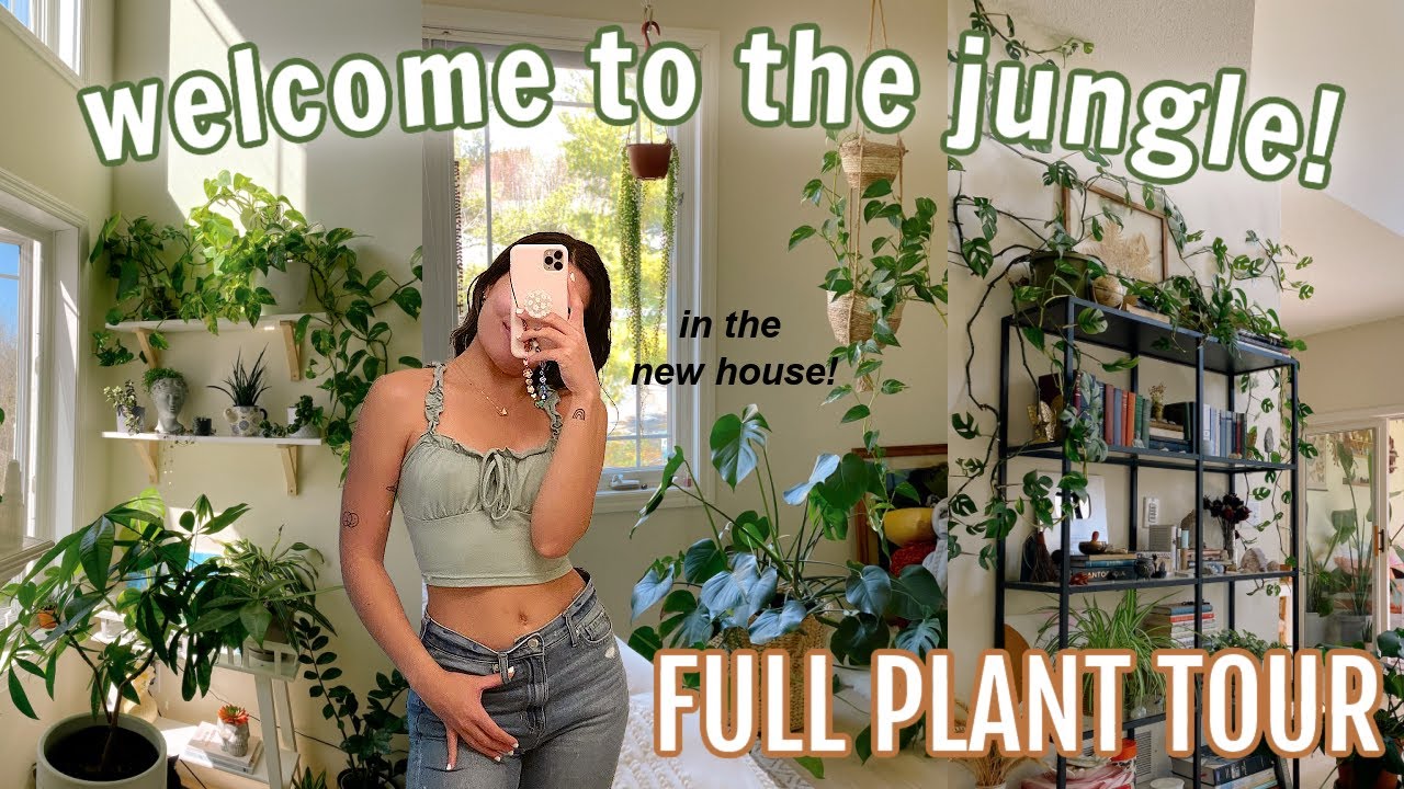 My 100+ houseplant tour in the NEW HOUSE!!! (beginner to expert level) 🌿