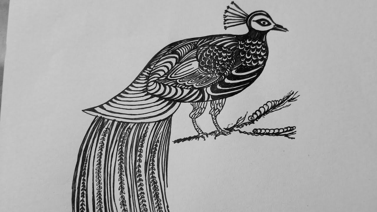 How to draw a beautiful peacock 🦚... simple and easy 😍.....#drawing #trending #mandala