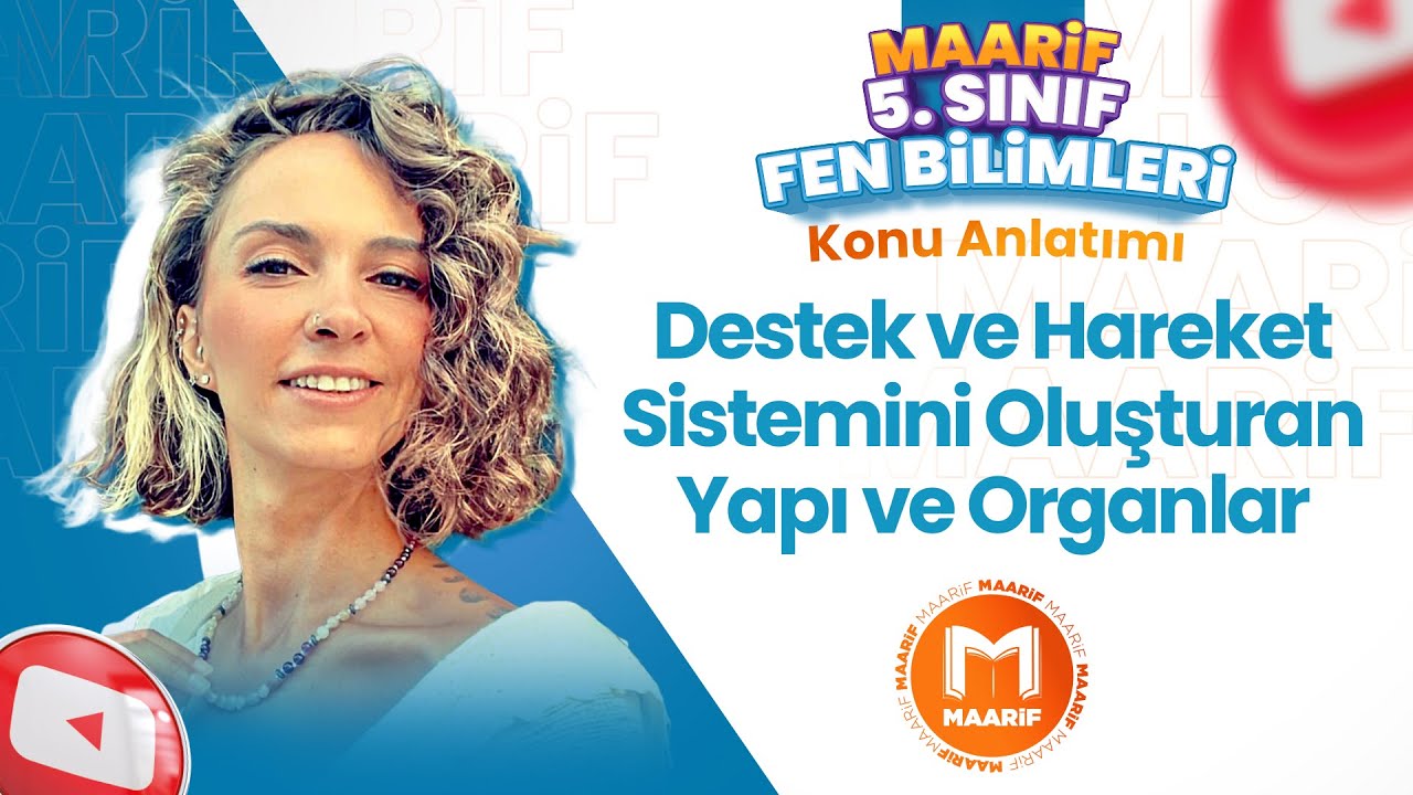 Destek ve Hareket Sistemini Oluşturan Yapı ve Organlar | 5. Fen Bilimleri | Maarif Modeli | Ders 10