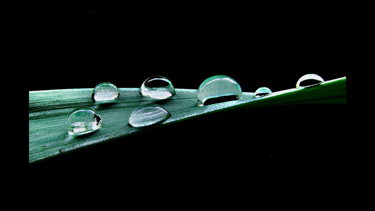 Beauty of Nature...Close up