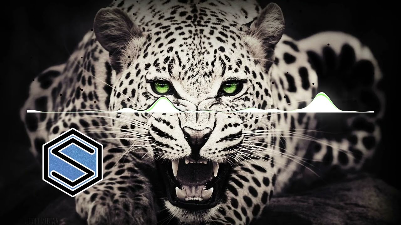 Koen Brouwer - Cheetah (Original Mix)