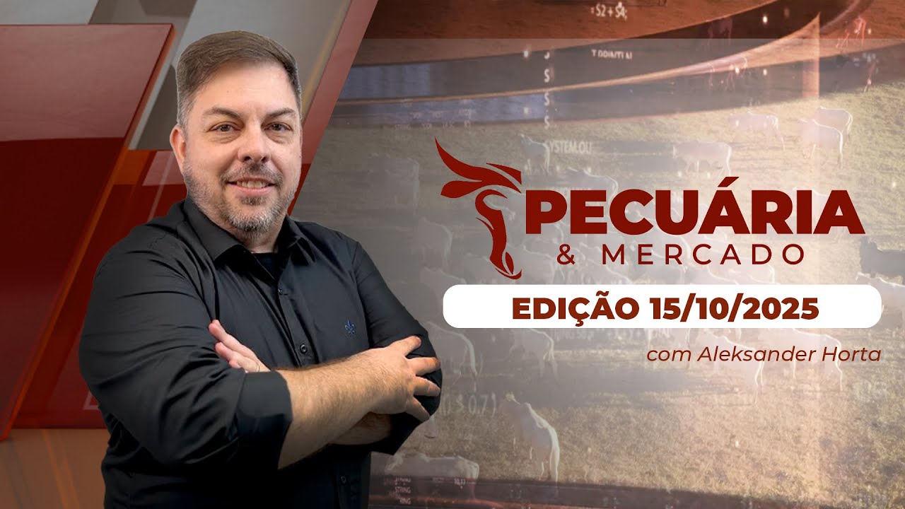 Mercado do boi está mais disputado em SP diante de uma oferta contida de animais; reação já ...