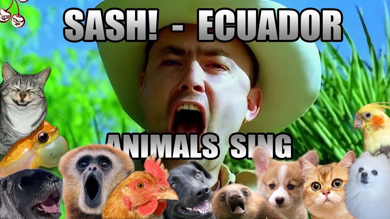 Sash! - Ecuador (Animal Cover)🐸🐔😸
