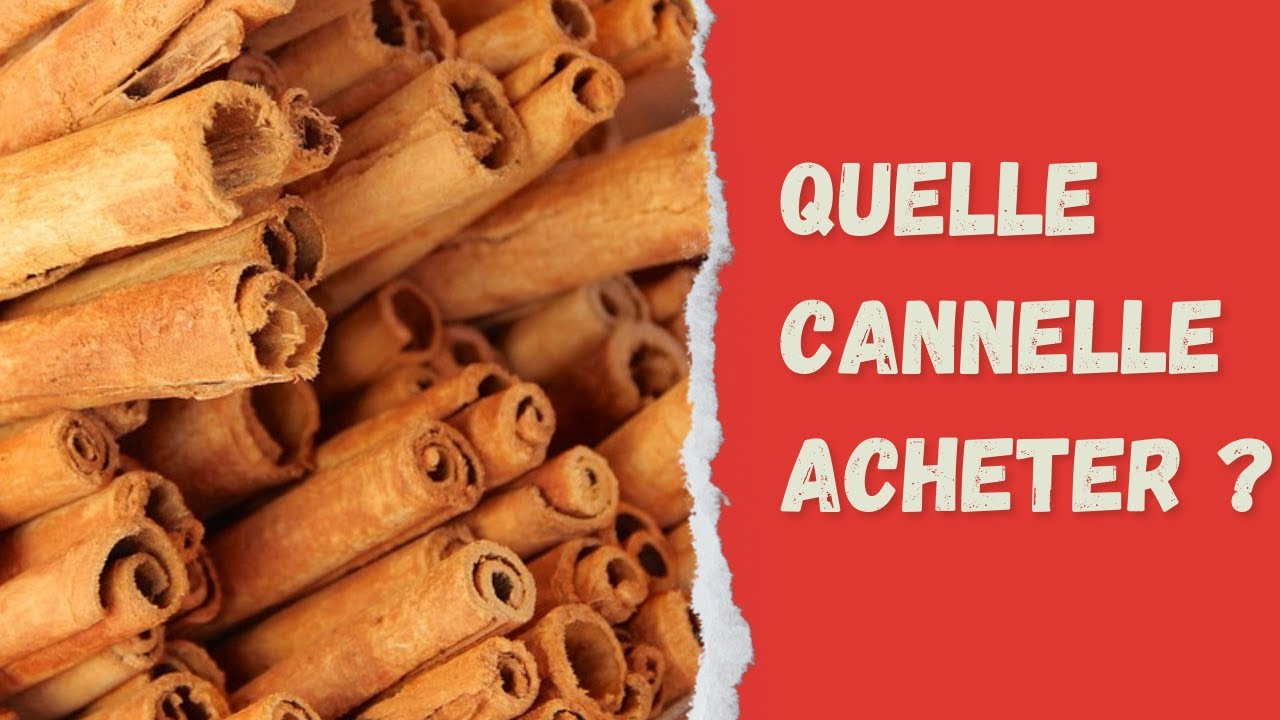 Quelle cannelle acheter ? Guide pour bien choisir sa cannelle