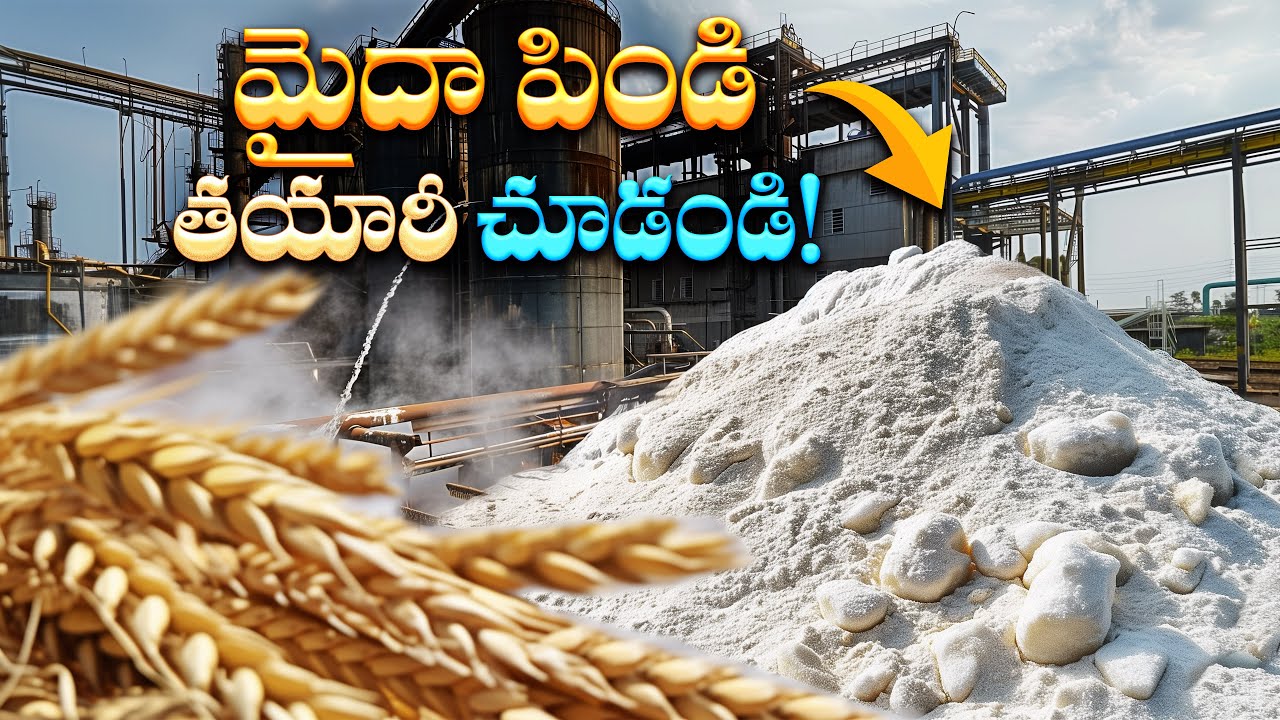 ఫ్యాక్టరీ లో మైదా పిండి ఎలా తయారు చేస్తారు? | How Maida is Made?