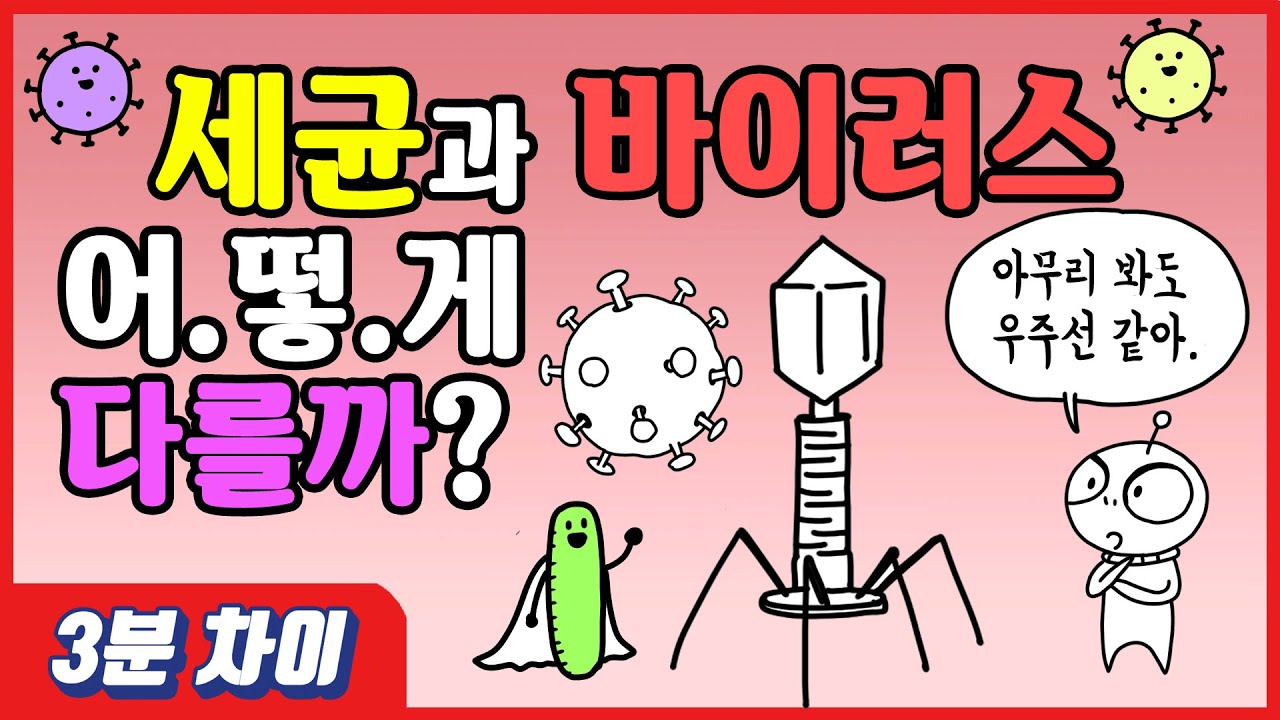 [3분차이] 세균과 바이러스, 어떤 차이가 있을까?