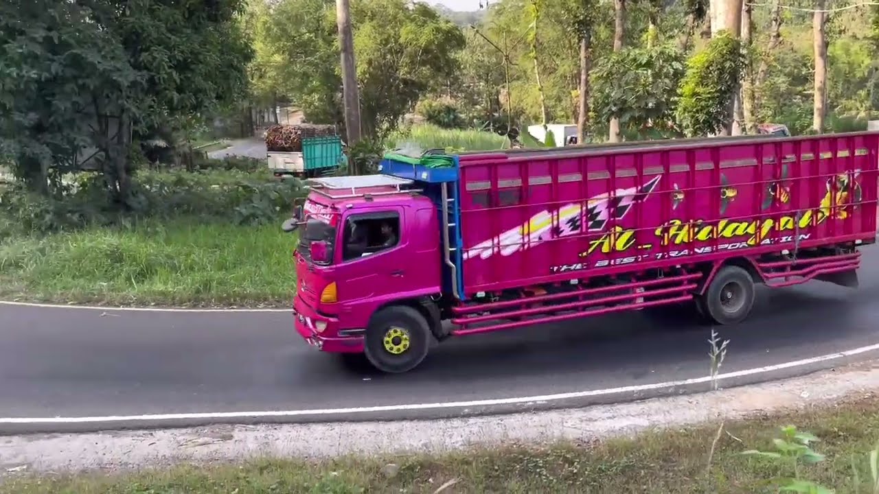 🚛 Incredible Transport Giants! 😮