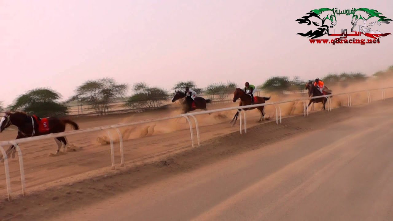 الجواد سلام ياناصر : لاسطبل ابناء عبيد البرازي