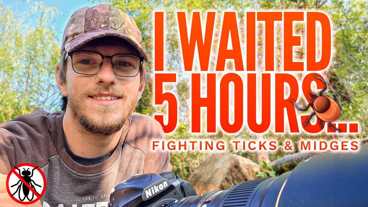 I Sat Here for 5 Hours… Was It Worth It?