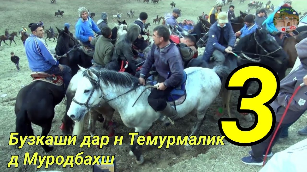 Бузкаши дар н Темурмалик д Муродбахш 11.01.2026 Кисми 3