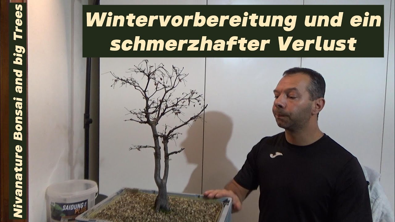 Schmerzhafter Verlust/Wintervorbereitungen/kleiner Ausblick 2025 - 2