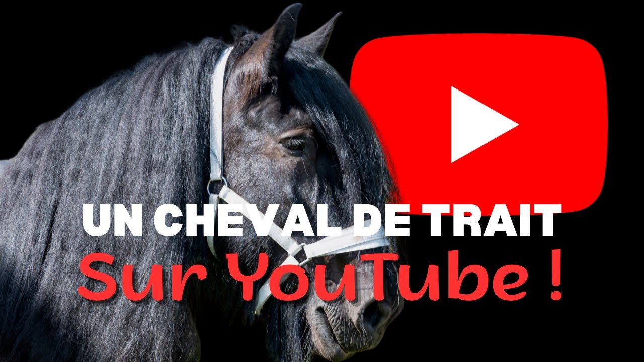 Première vidéo YouTube 🖤 | A cru, ostéo… et une piqûre !