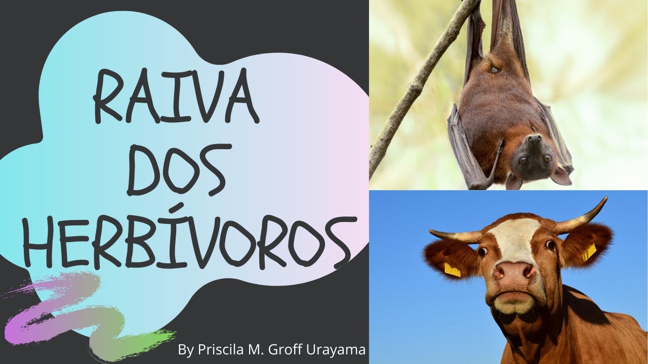 Ярость травоядных - PNCRH