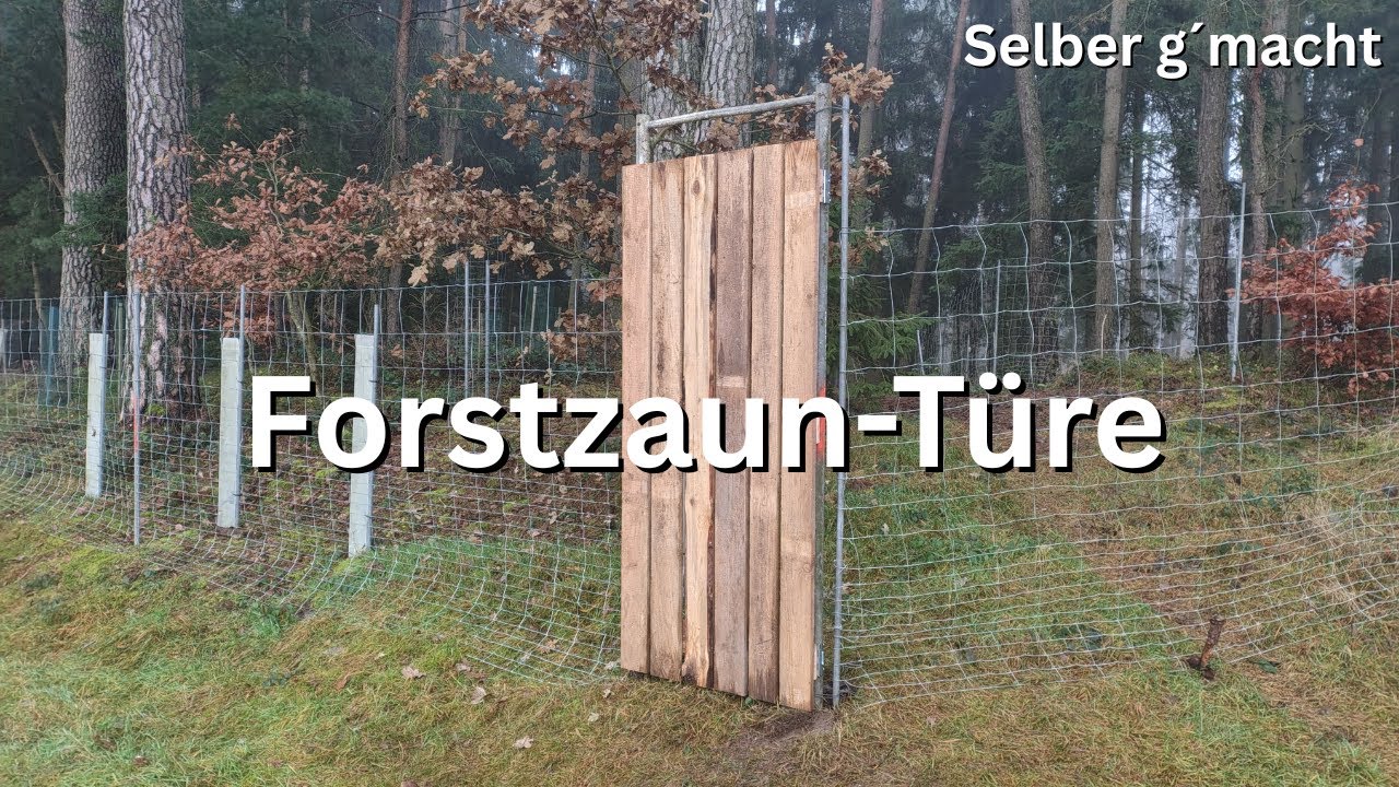 Forstzauntüre vom Feinsten | Luxus-Türe im Wald