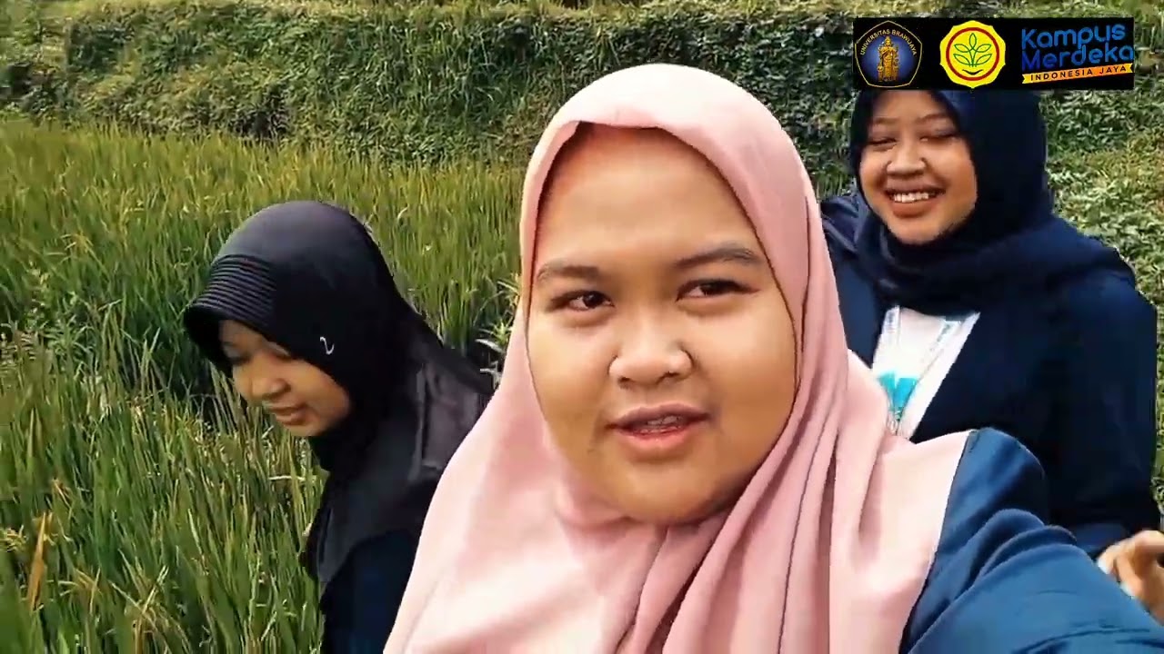 Kolaborasi Mahasiswa dalam Dunia Pertanian: Cerita Magang di BPP Wonosalam
