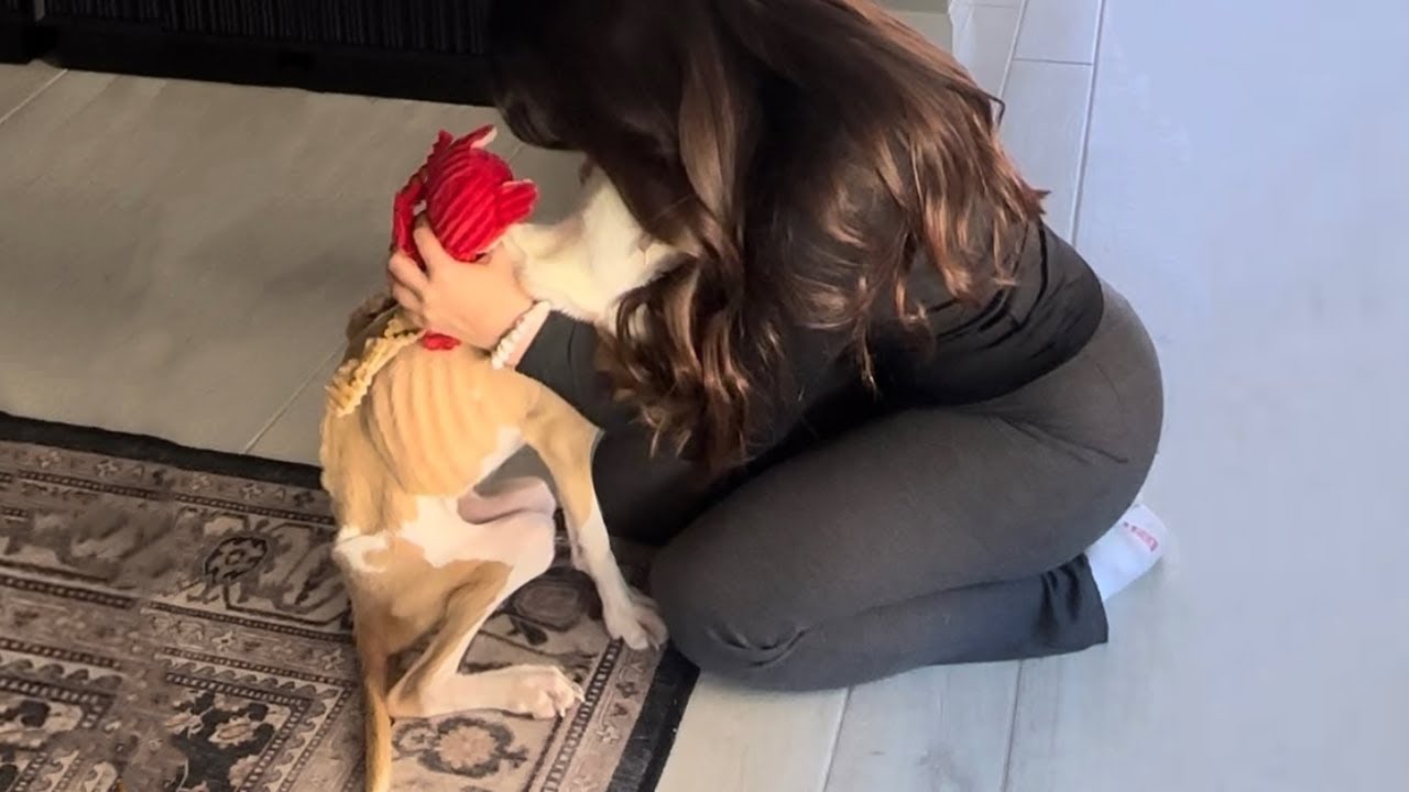 Она положила голову мне на плечо и рыдала с небольшой надеждой, что ее впервые полюбят...