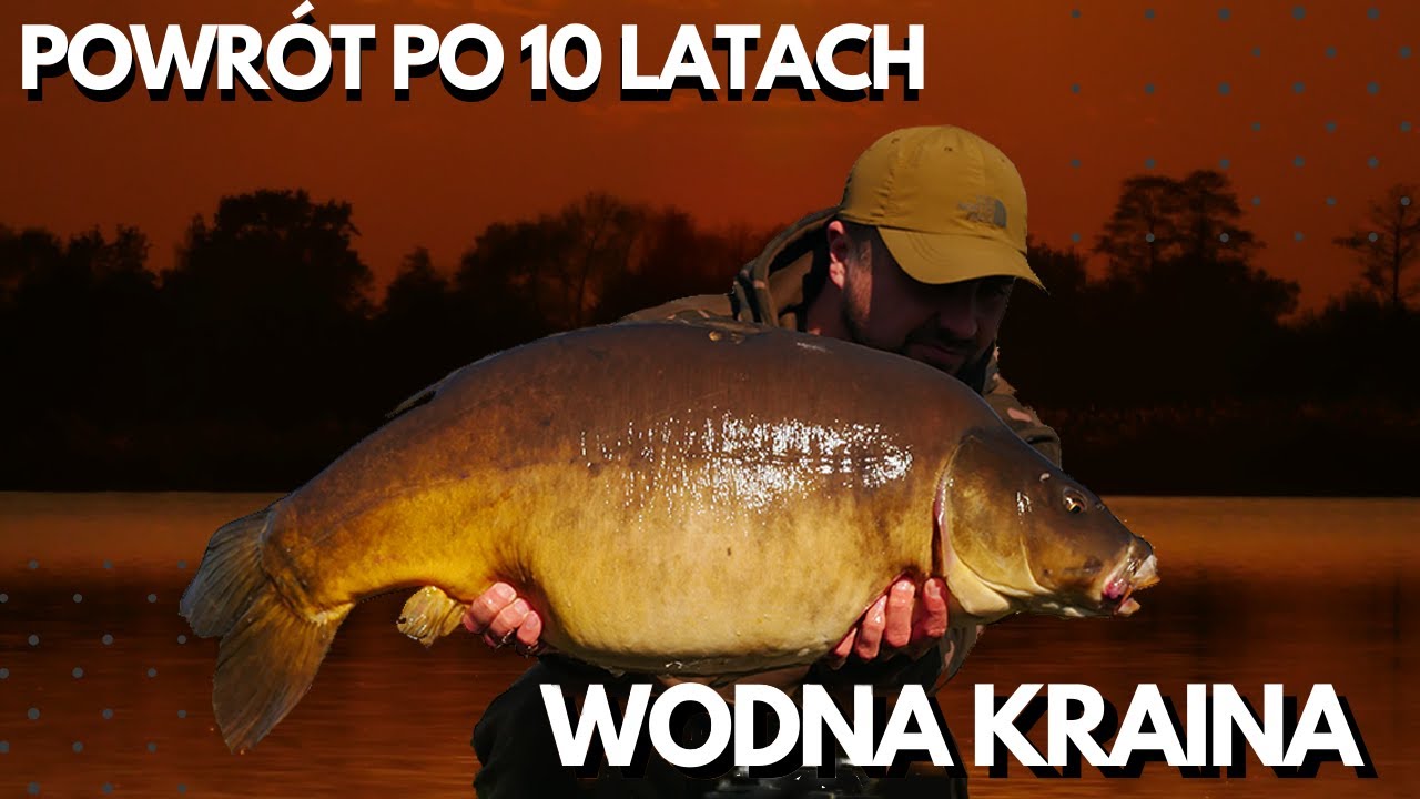 WILGA - Taktyka Na Ostrożne Karpie