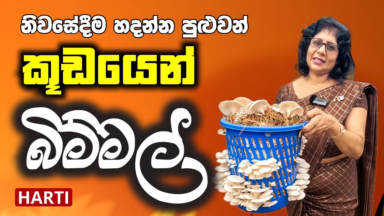 කූඩයෙන් බිම්මල් නිවැරදිව  හදන්නේ මෙහෙමයි  | බිම්මල් පිළිබඳ තාක්ෂණික පුහුණුව - 01