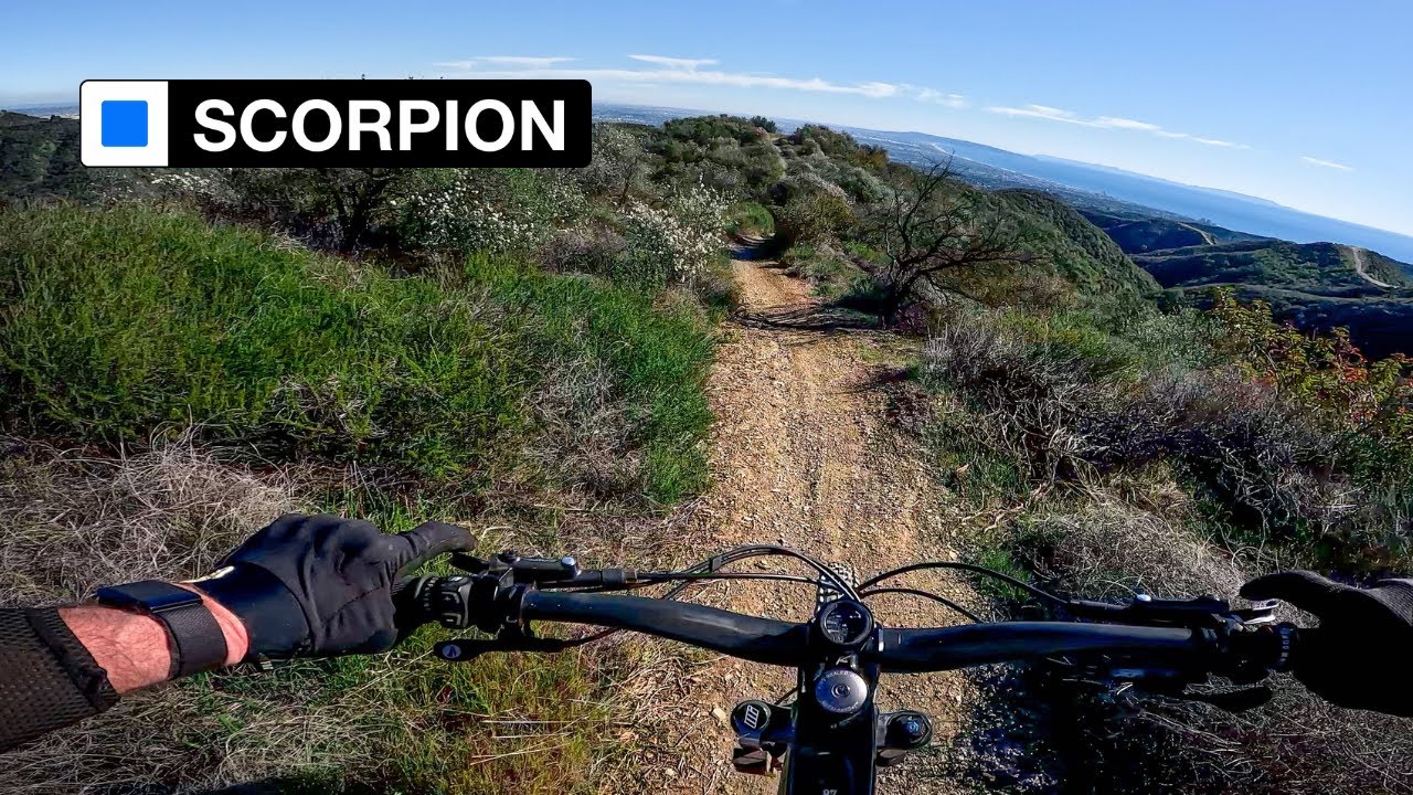 The BEST Mountain Bike Descent in Santa Monica?? (4k)