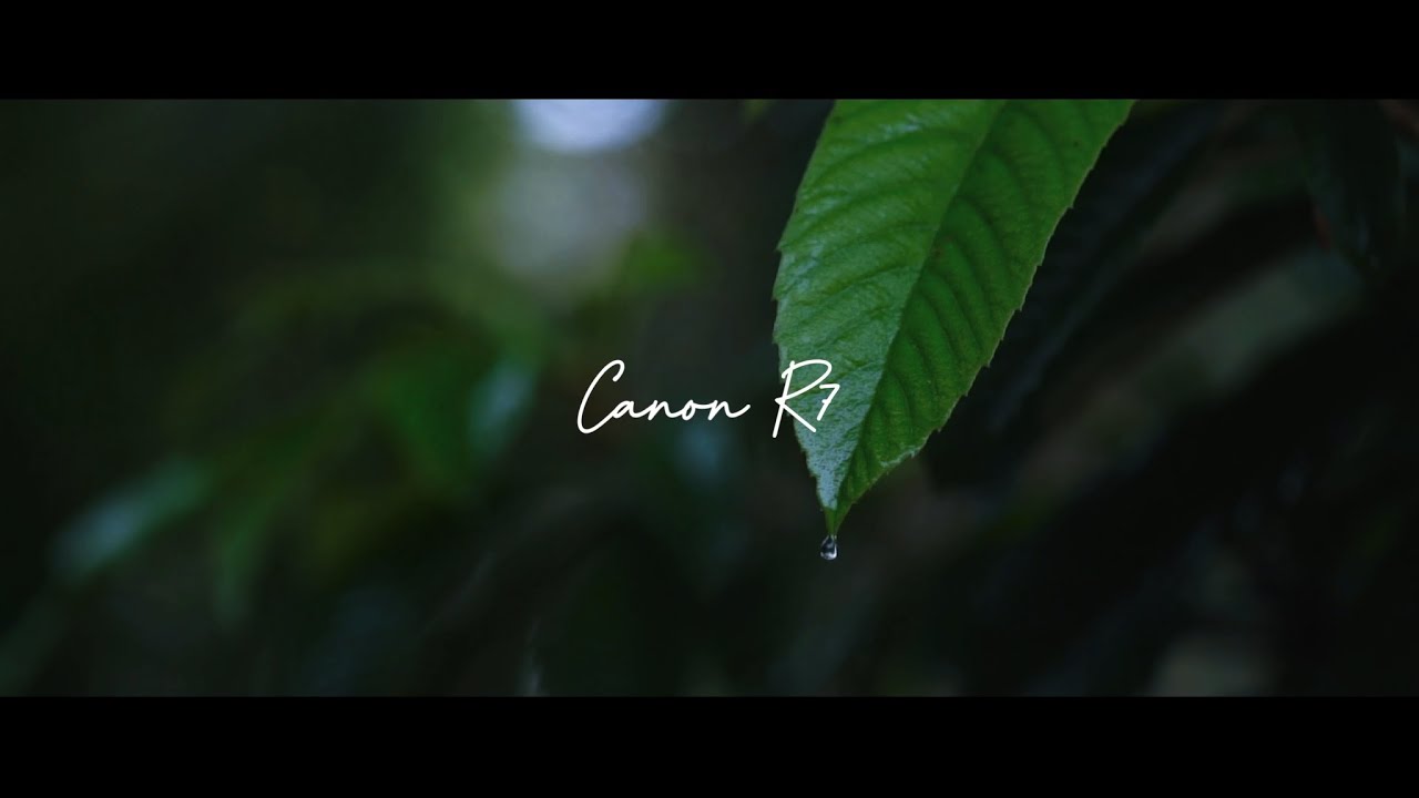 Canon EOS R7 Cinematic 4k