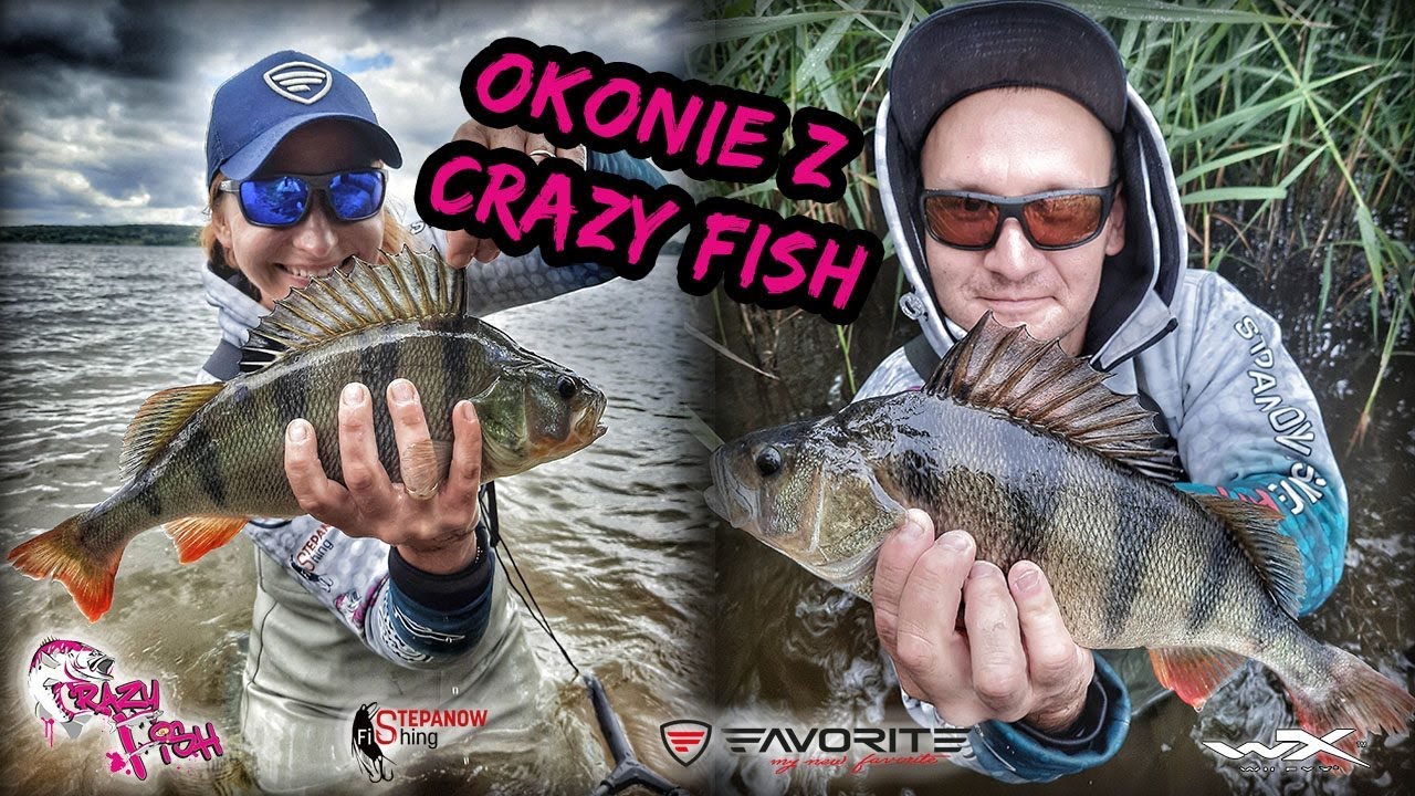 OKONIE z CRAZY FISH