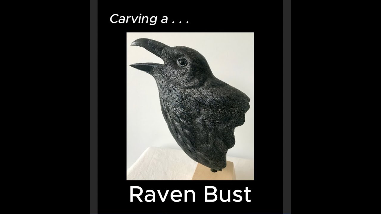 CARVE a RAVEN BUST: photos steps taken and progress in carving a life-sized detailed head study.