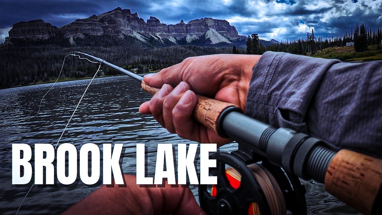 FISHING in BEAR Territory