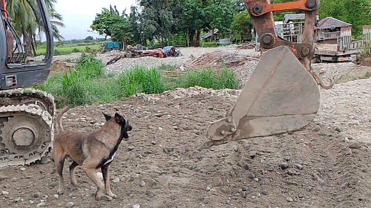 Zorro