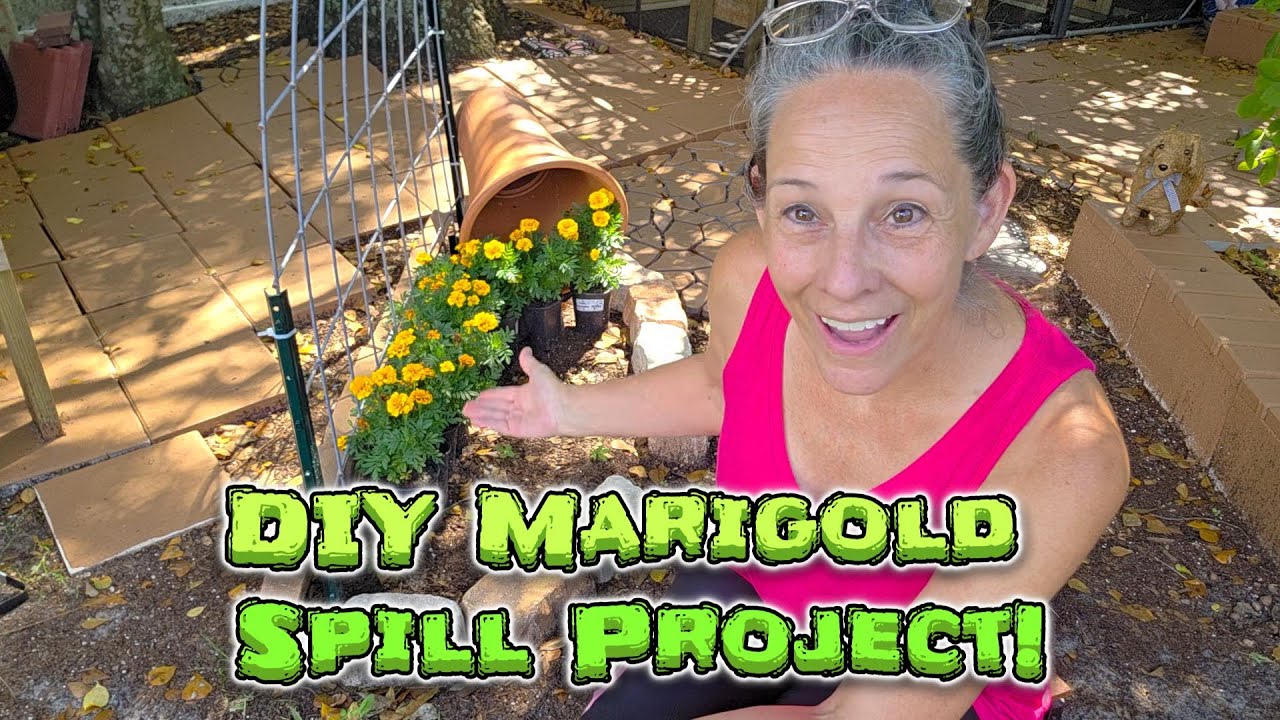 DIY Marigold Spill Project: We Show You How!