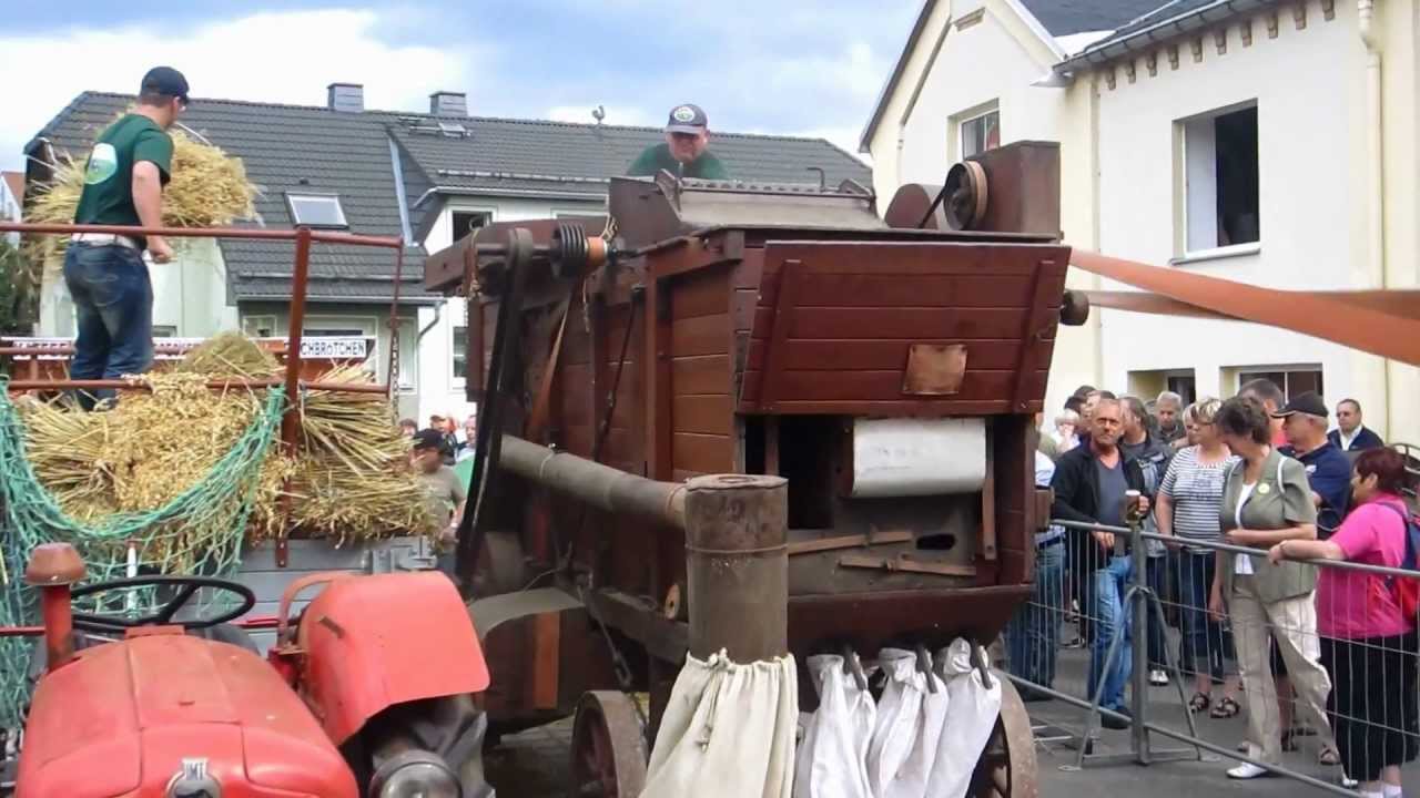 15.Bulldogtreffen in Burkhardtsdorf
