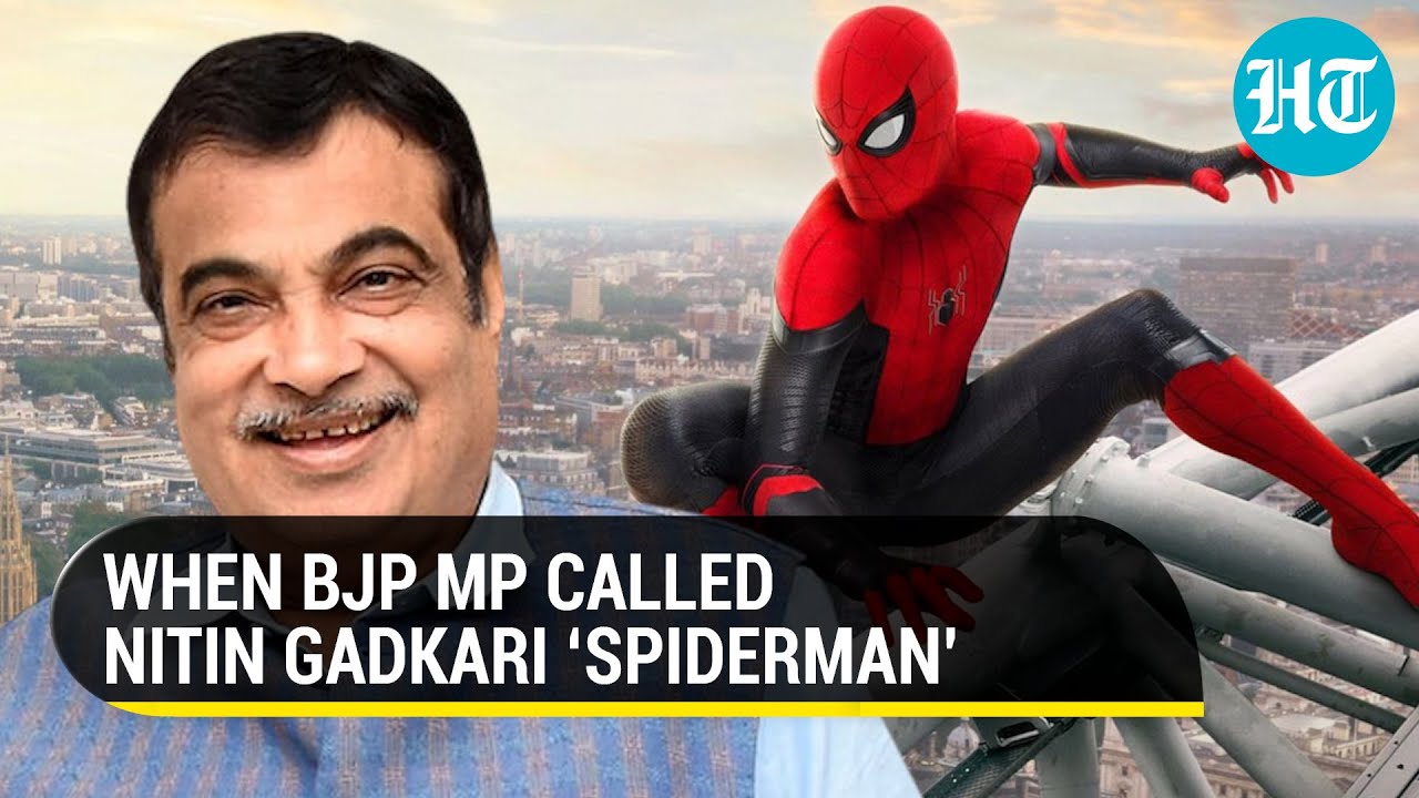 Why this BJP MP called Nitin Gadkari 'Spider-Man' in Lok Sabha