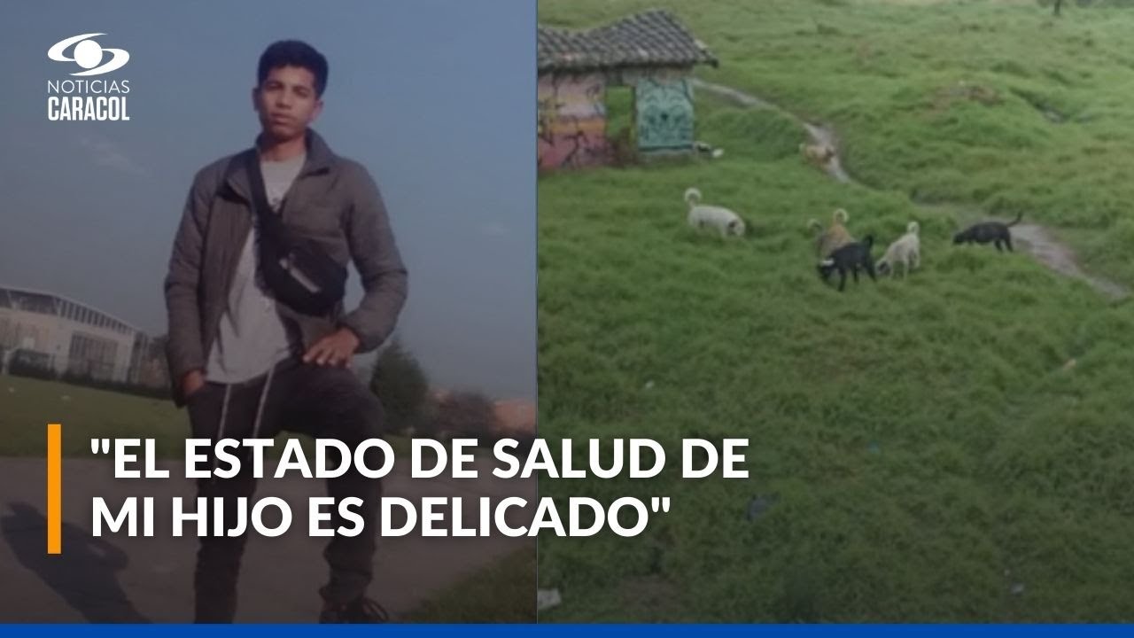 Joven que fue atacado por manada de perros en Bogotá perdió los dos brazos