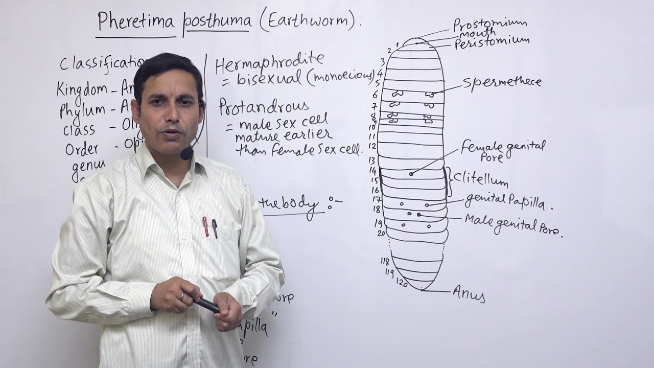 Class 11 Zoology arthom