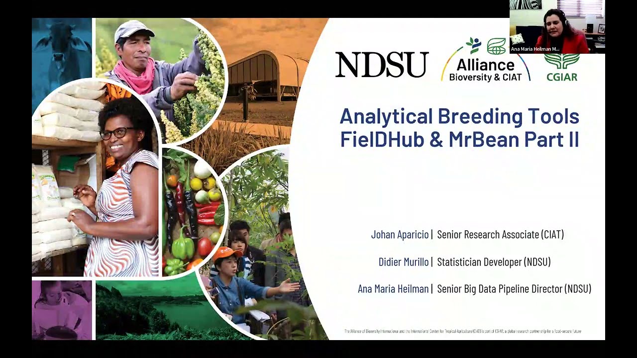 Analytical Breeding Tools FielDHub, MrBean pt2