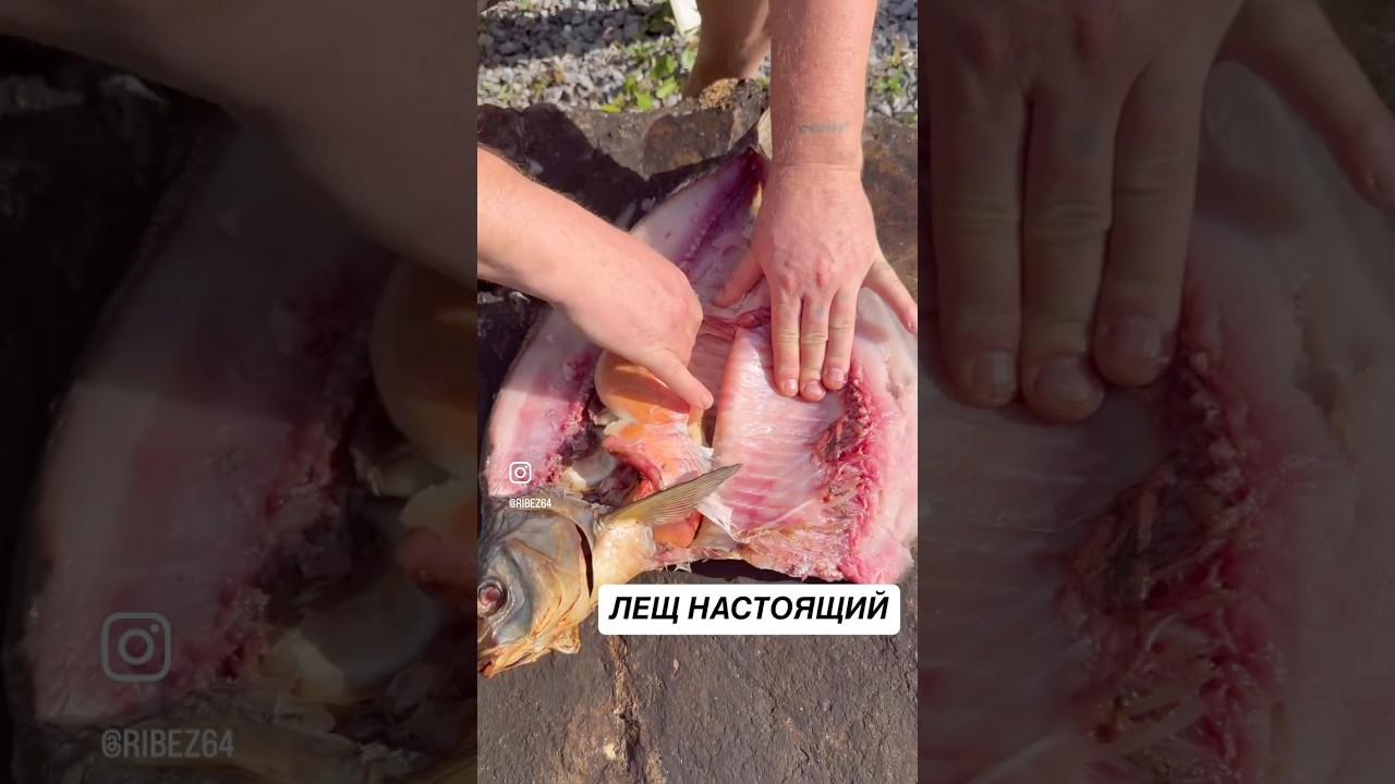 МАМОЧКА ЛЕЩ #рыбец64