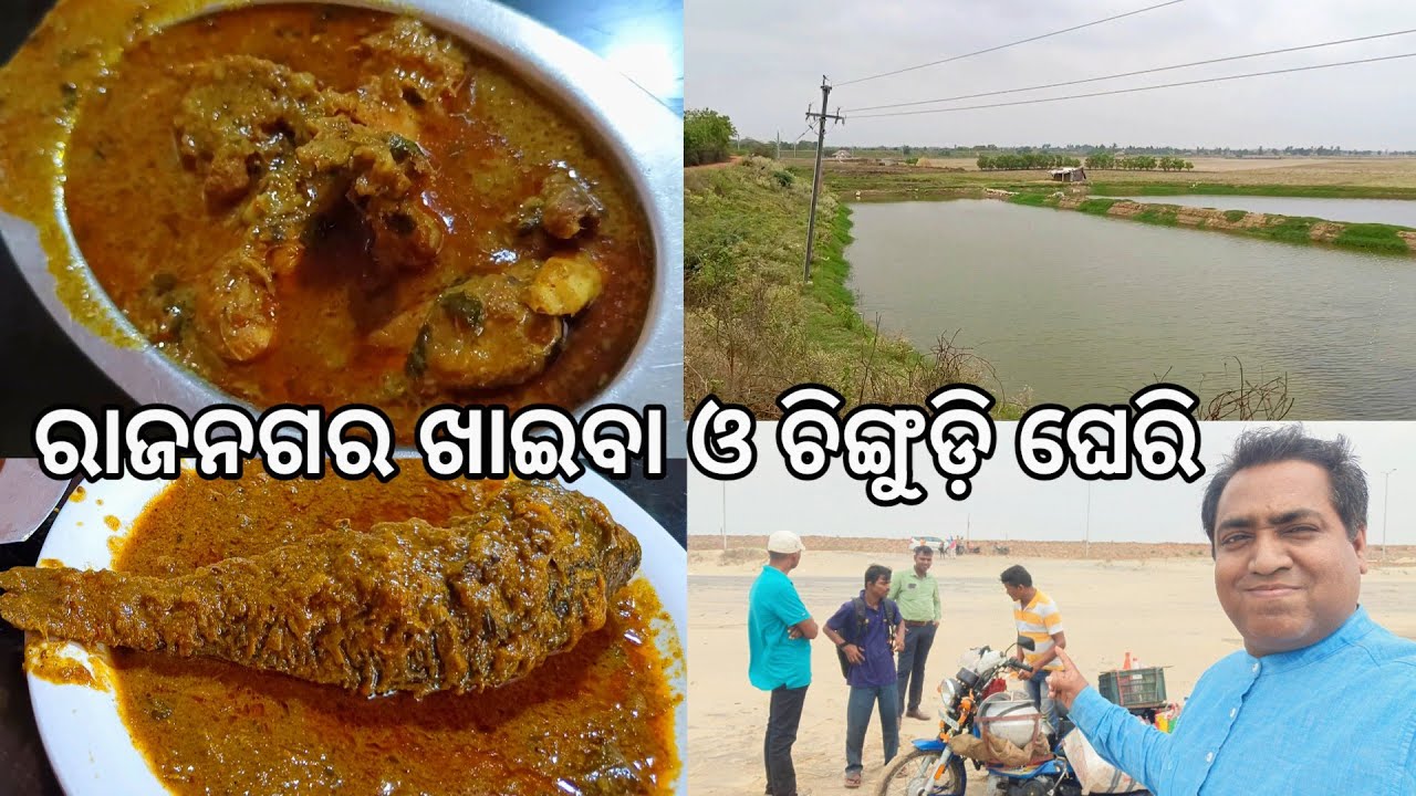 ରାଜନଗର ଖାଇବା ଓ ଚିଙ୍ଗୁଡ଼ି ଘେରି l ସମୁଦ୍ର ଖାଉଛି ଗାଁ l Rajnagar EP 5 l Pentha Sea beach & Hotel